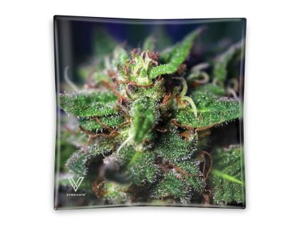 Sklenený popolník V-Syndicate® Blue Dream 810033154584 36-139