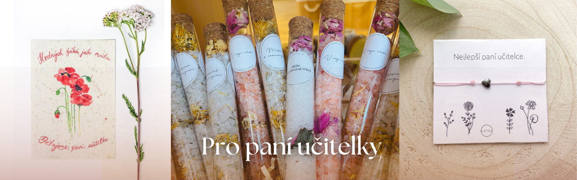 (nejen) Pro paní učitelky