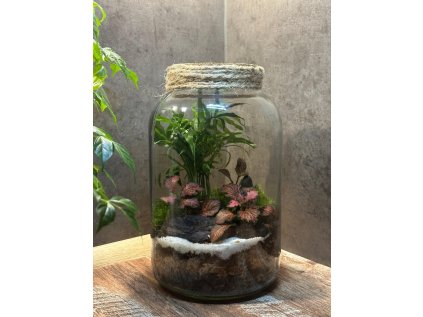 d7b3d5c2 5015 4cec 8785 51534a199a0c