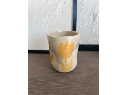 Snímek obrazovky 2025 05 31 130115