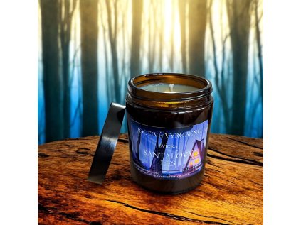 53e09521 b168 41d3 9081 c4b21260577e