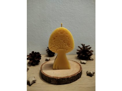 Svíčka ze včelího vosku - houba 2D