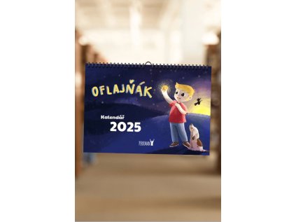 Snímek obrazovky 2024 11 01 143311