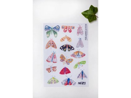 db76bac6 31d9 44a1 b154 027bb5b6d596