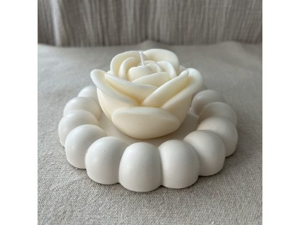 Kopie souboru Velky ruze