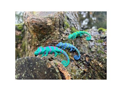 7748018b 062d 4f63 b47b 6d70b5f42b08