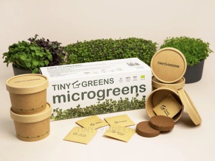 c1e1a502 8997 4e33 a407 ff48eaf4961f