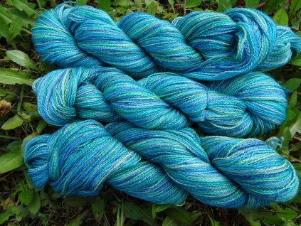 NIXIE (1)