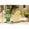ginger beer 0P7A0659 OK