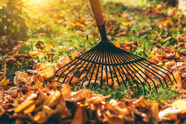 istockphoto-1049831720-612x612