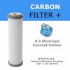 Uhlíková antibakteriální filtrační vložka Ionicore 10"x2,5"