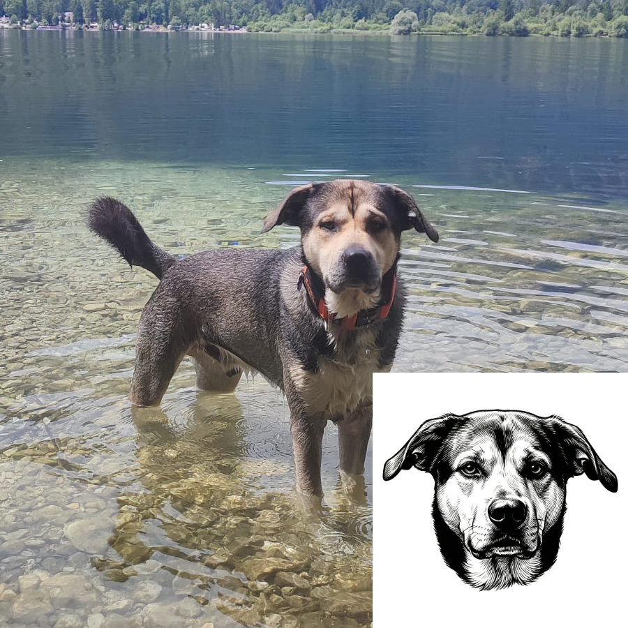 Personalizovaný nerezový přívěsek na klíče se psem z fotografie