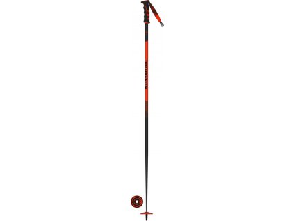 Sjezdové hole Rossignol Tactic Carbon 20 Safety 19/20