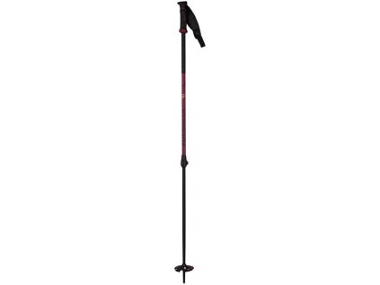 Rossignol Freeride Pro Telescopic Safety 20/21