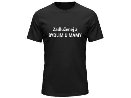 bydlim u mamy