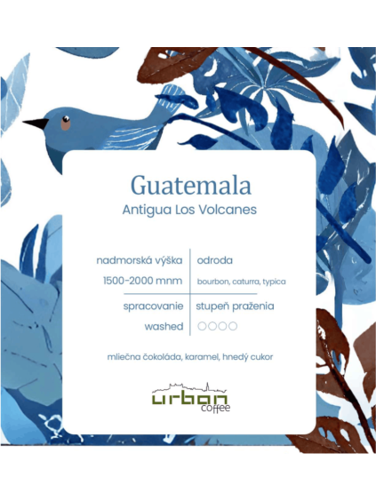 guatemala Antigua 1