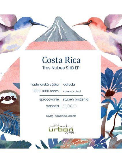 costa rica 9