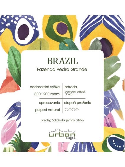 brazil 83