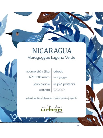 nicaragua PNG