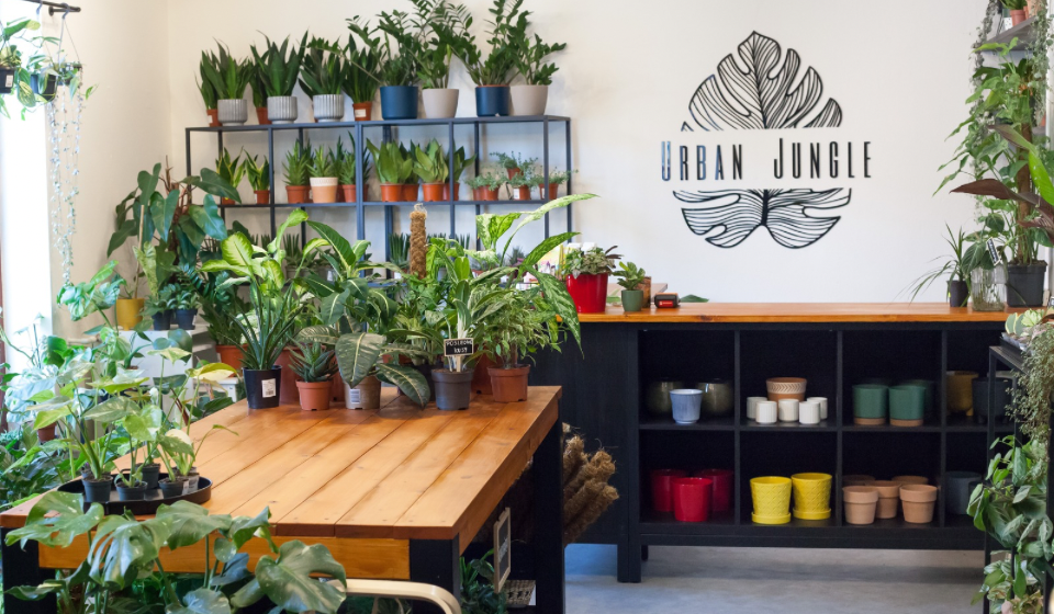 Kamenná predajňa v Trnave