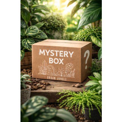 Mystery Box
