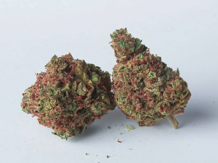 THC-X Květy Ústí nad Labem