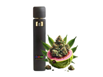 THC X Vape Guava Gelato