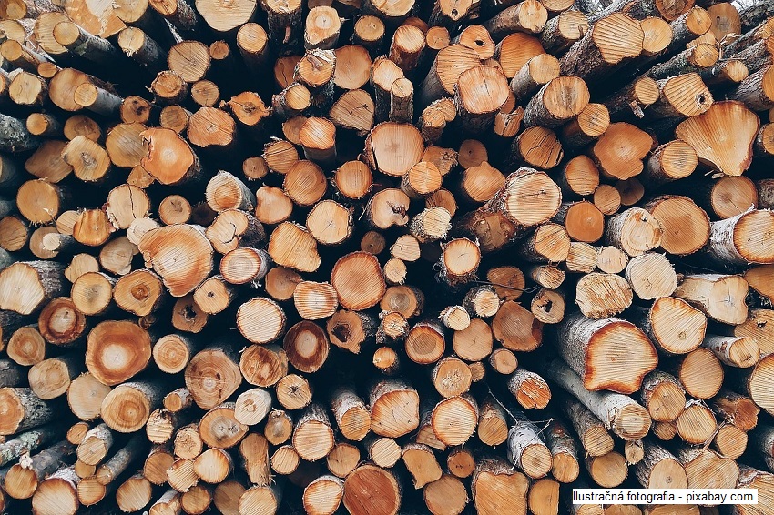 Ihličnaté drevo - pre verejnosť