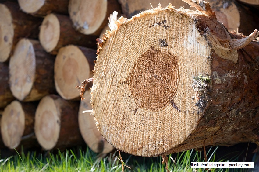 Listanaté drevo - pre verejnosť