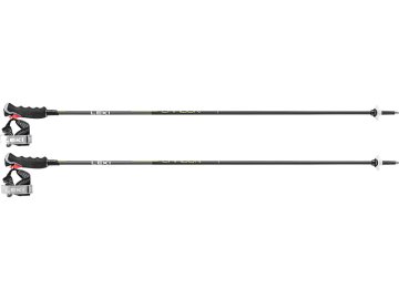 cze pl Sjezdove hole LEKI Carbon 12 3D 2024 25 11415 1