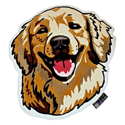 Koberec - Retriever