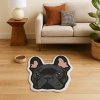french bulldog rug with bowl
