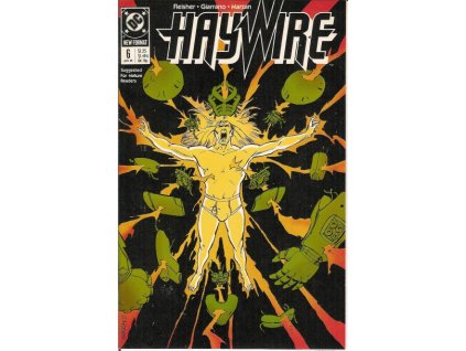 Haywire #6 (DC)