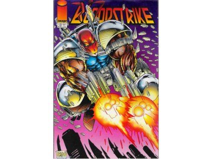 Bloodstrike #13 (Image)