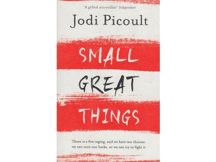 Small Great Things [Picoult, Jodi]