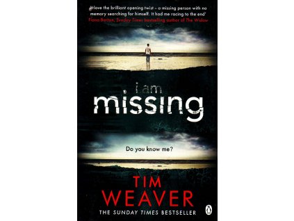 I Am Missing [Weaver, Tim] (David Raker #8)