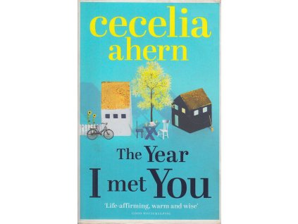 The Year I Met You [Ahern, Cecelia]