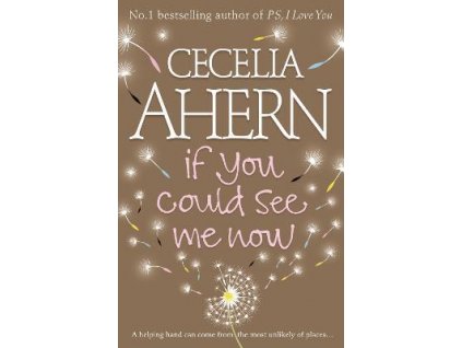 If You Could See Me Now [Ahern, Cecelia]