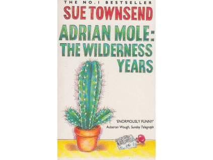 Adrian Mole: The Wilderness Years [Townsend, Sue] (Adrian Mole #4)