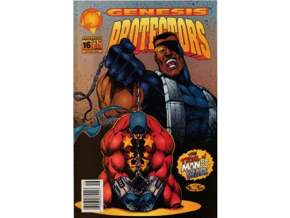 Protectors #16 (Malibu)