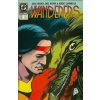 The Wanderers #12 (DC)
