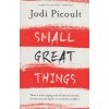 Small Great Things [Picoult, Jodi] (Kvalita A)