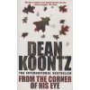 From the Corner of his Eye [Koontz, Dean]