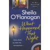 What Happend That Night [O'Flanagan, Sheila]