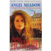 Angel Meadow [Howard, Audrey]