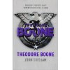 Theodore Boone [Grisham, John] (Theodore Boone #1)