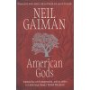 American Gods [Gaiman, Neil] (American Gods #1)