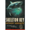 Skeleton Key [Horowitz, Anthony] (Alex Rider #3) (Kvalita A)
