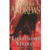 Lightning Strikes [Andrews, Virginia]