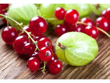 aaa
